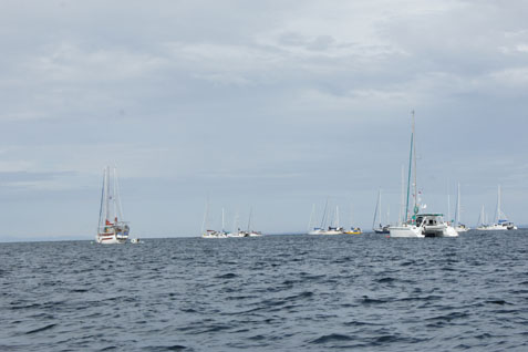  YACHT: Tahun Depan, Perizinan Kapal Layar Makin Mudah